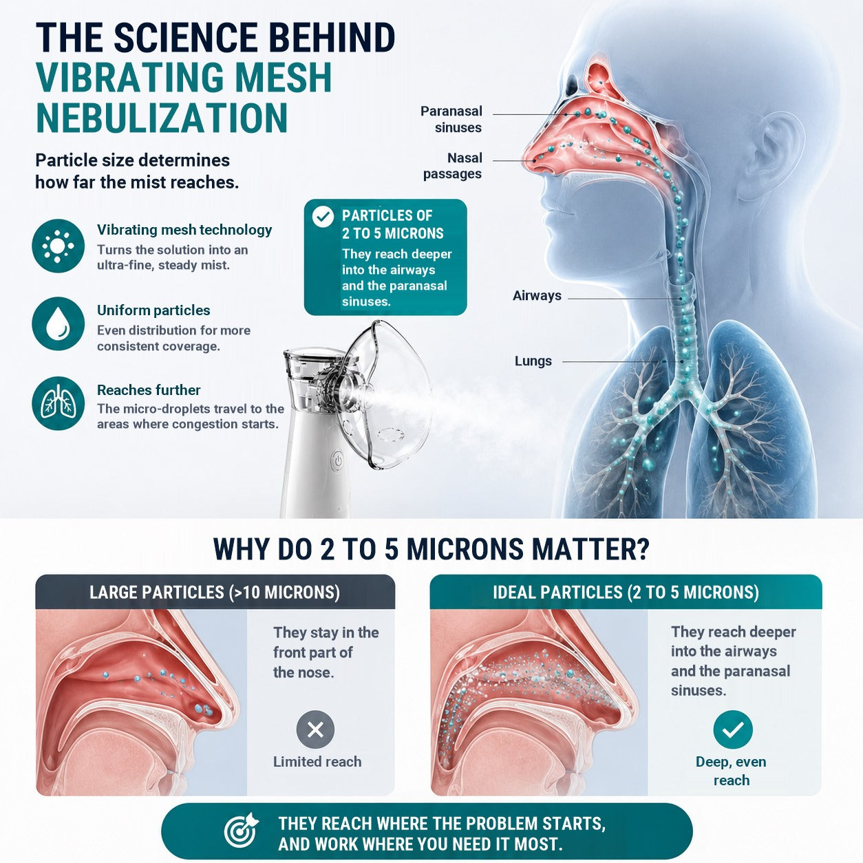 The science behind vibrating mesh nebulization: particle size and how far the mist travels